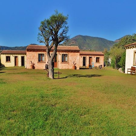 B&B Pubulos Ольбия Экстерьер фото